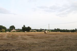 landscape in garvestone